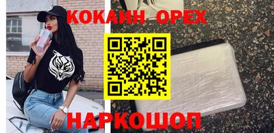 прущие грибы Волгодонск