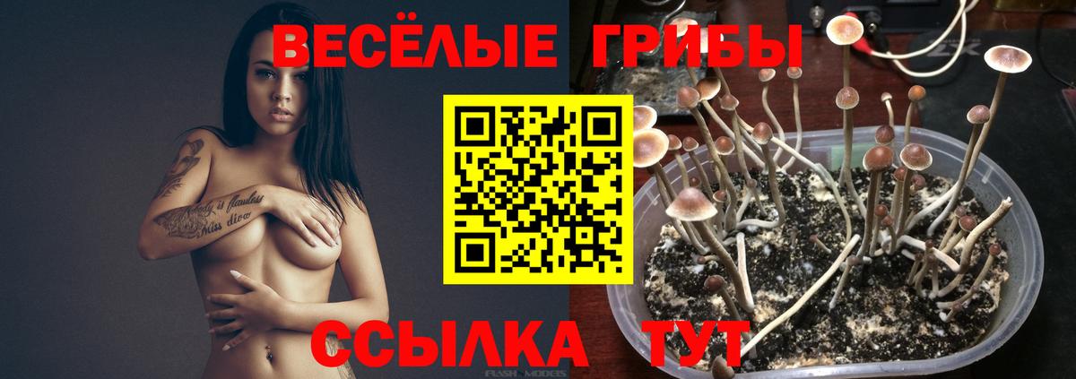 Псилоцибиновые грибы ЛСД  Вход с VPN  Белореченск 